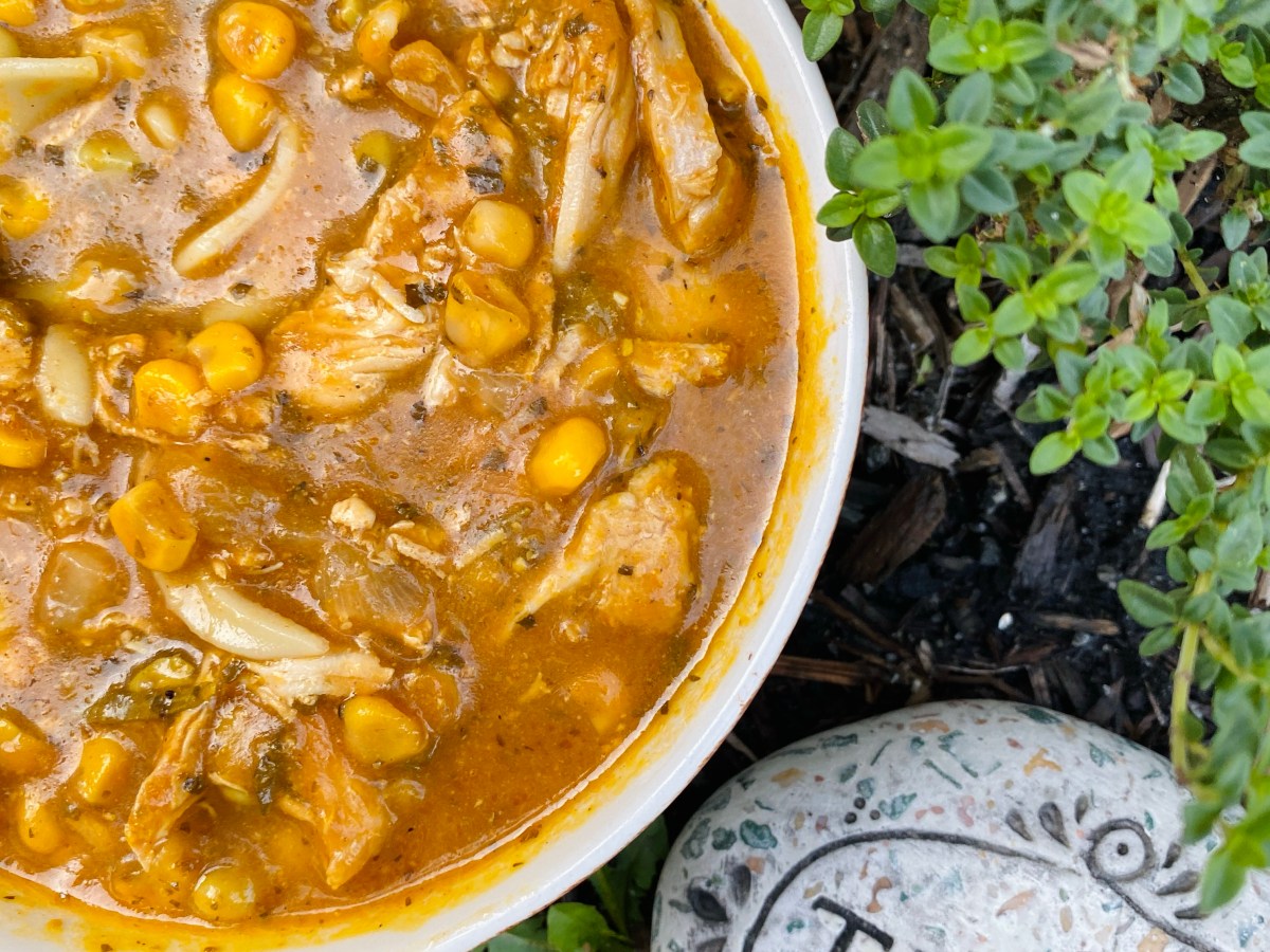 Soup is Witchcraft: A Recipe for Pumpkin Chicken Noodle&nbsp;Soup