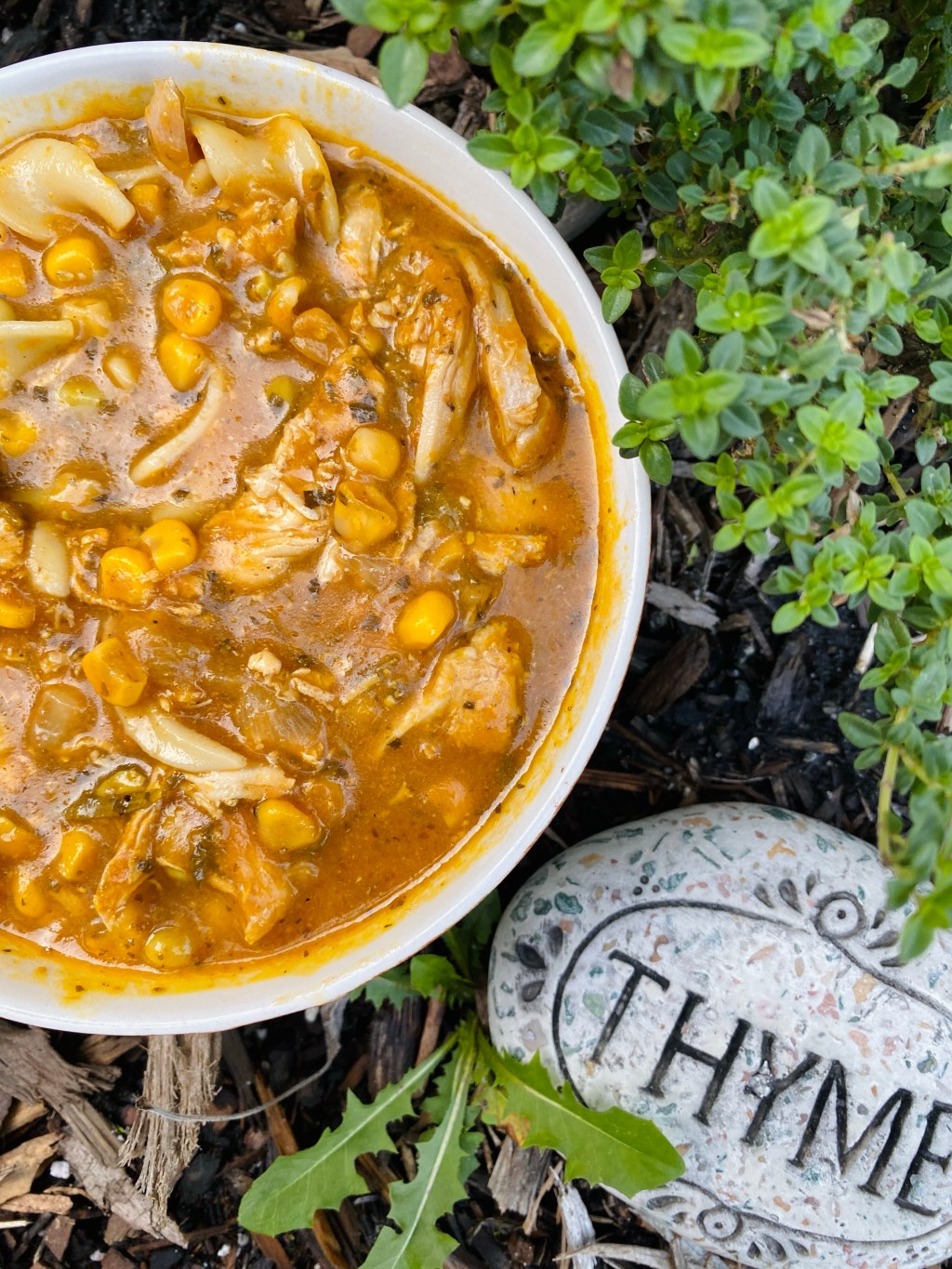 Soup is Witchcraft: A Recipe for Pumpkin Chicken Noodle&nbsp;Soup