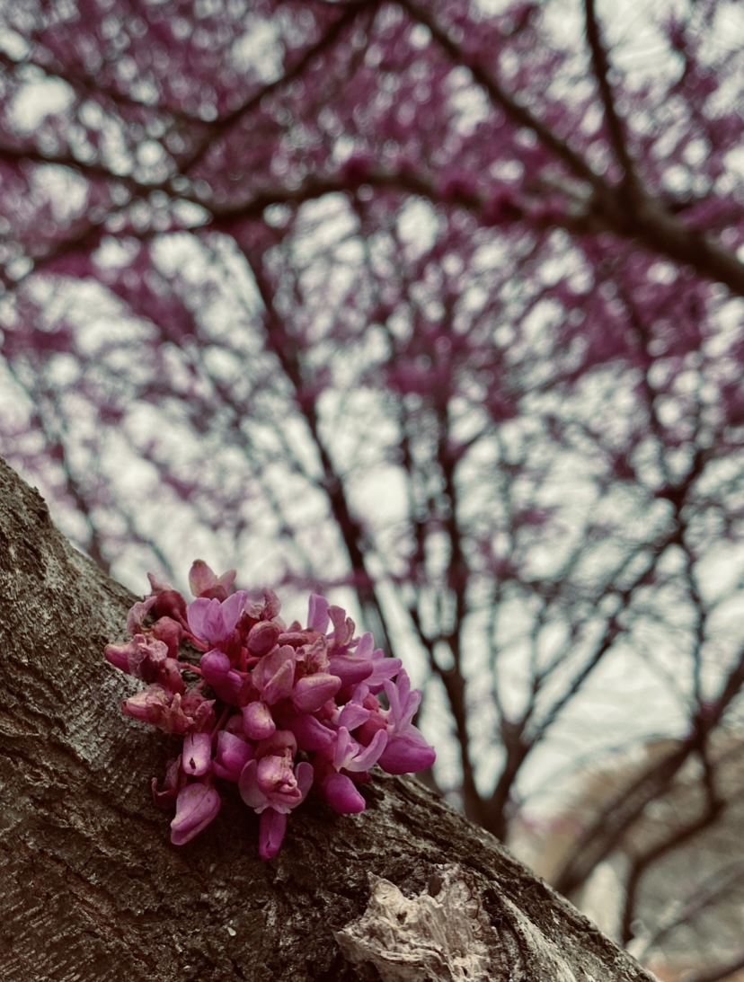 Happy Ostara: Less Tech; More&nbsp;Human