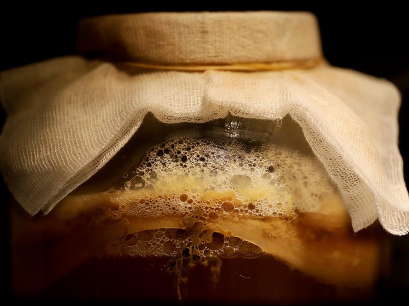 Tea of Immortality: A Recipe for Jun&nbsp;Kombucha