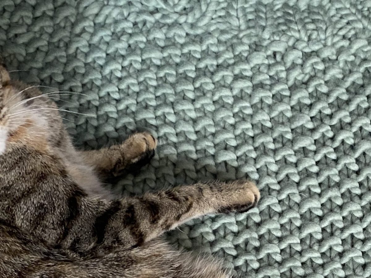 How to Knit: The Moss&nbsp;Stitch
