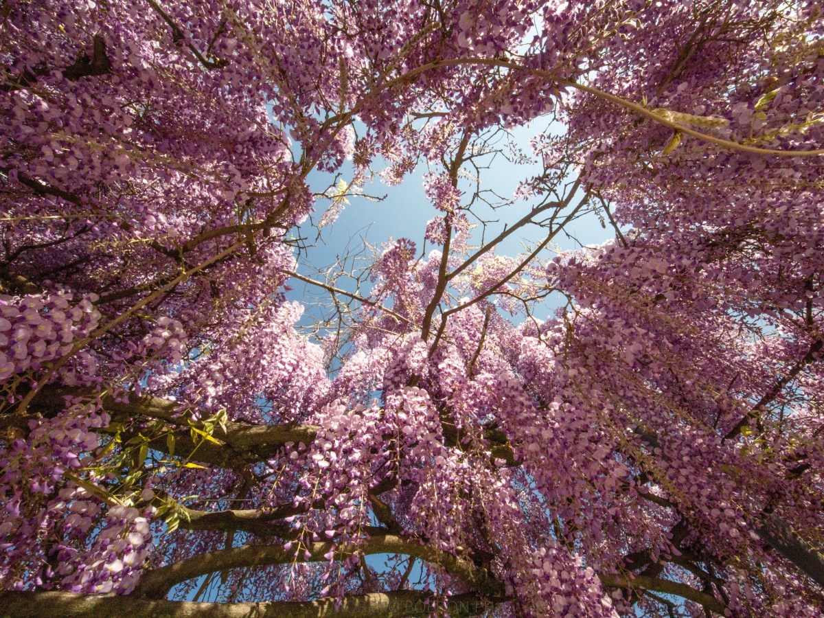 Our Own Spirit in a World Stranger than&nbsp;Fiction