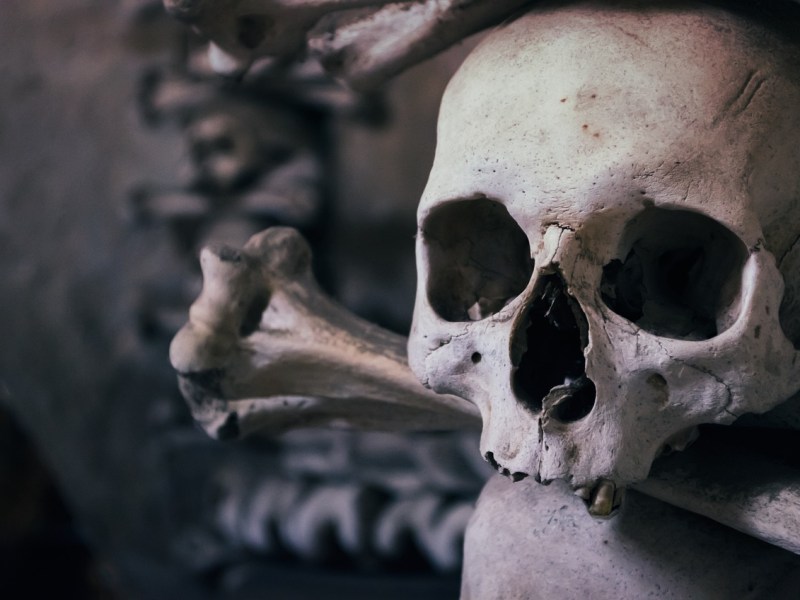 Have You Ever Heard of the Book “Memento&nbsp;Mori”?